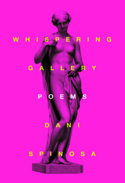 Whispering Gallery book cover